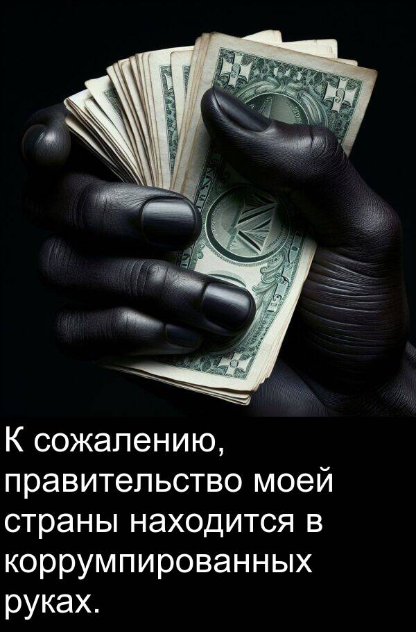правительство: К сожалению, правительство моей страны находится в коррумпированных руках.
