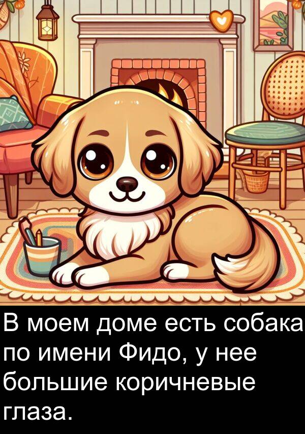 коричневые: В моем доме есть собака по имени Фидо, у нее большие коричневые глаза.