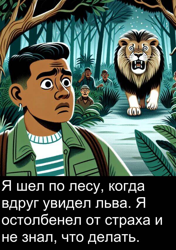страха: Я шел по лесу, когда вдруг увидел льва. Я остолбенел от страха и не знал, что делать.
