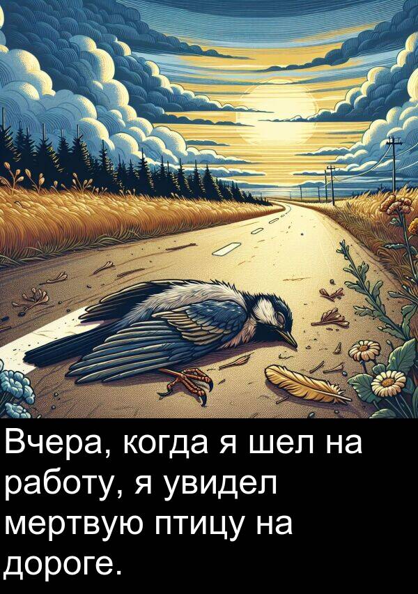 когда: Вчера, когда я шел на работу, я увидел мертвую птицу на дороге.