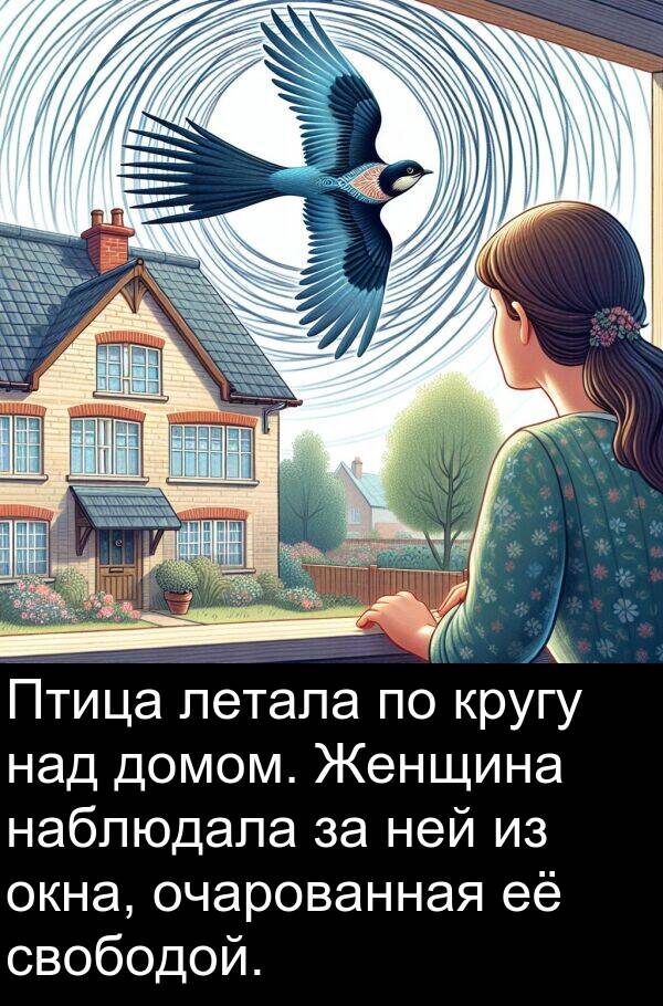 кругу: Птица летала по кругу над домом. Женщина наблюдала за ней из окна, очарованная её свободой.