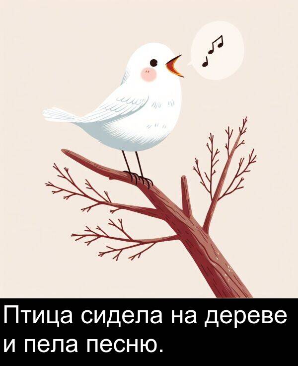 песню: Птица сидела на дереве и пела песню.