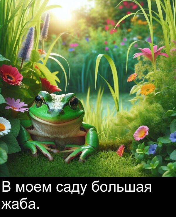 саду: В моем саду большая жаба.