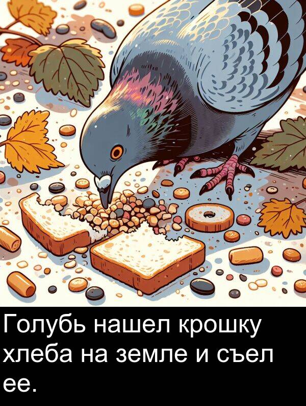 крошку: Голубь нашел крошку хлеба на земле и съел ее.