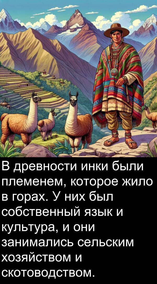 культура: В древности инки были племенем, которое жило в горах. У них был собственный язык и культура, и они занимались сельским хозяйством и скотоводством.