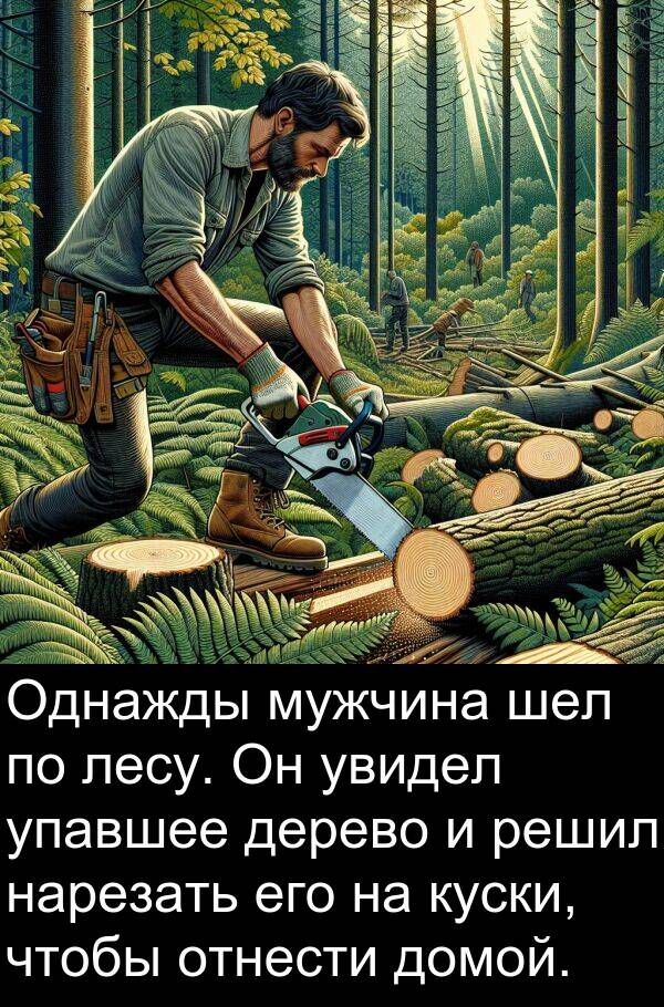 упавшее: Однажды мужчина шел по лесу. Он увидел упавшее дерево и решил нарезать его на куски, чтобы отнести домой.