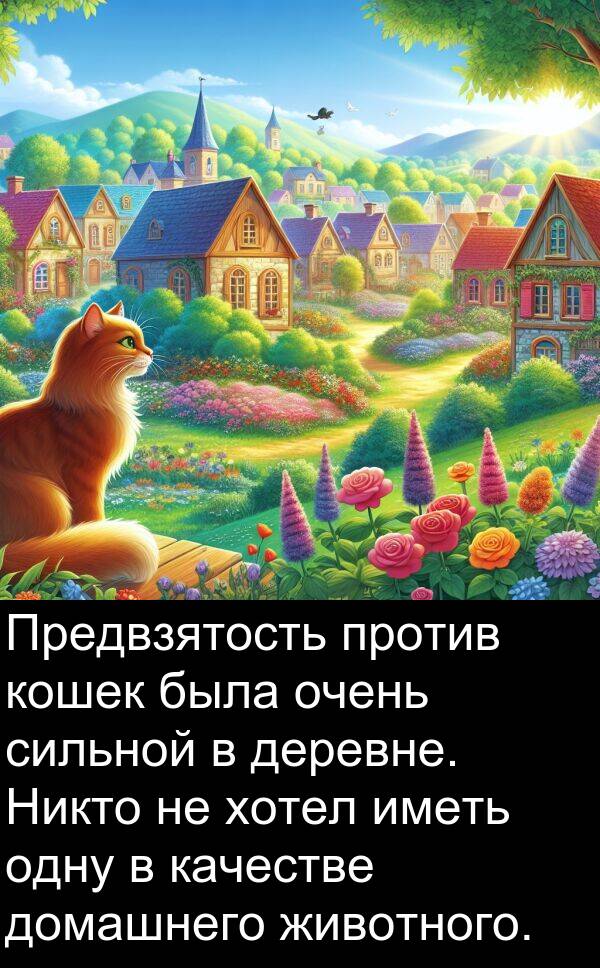 кошек: Предвзятость против кошек была очень сильной в деревне. Никто не хотел иметь одну в качестве домашнего животного.