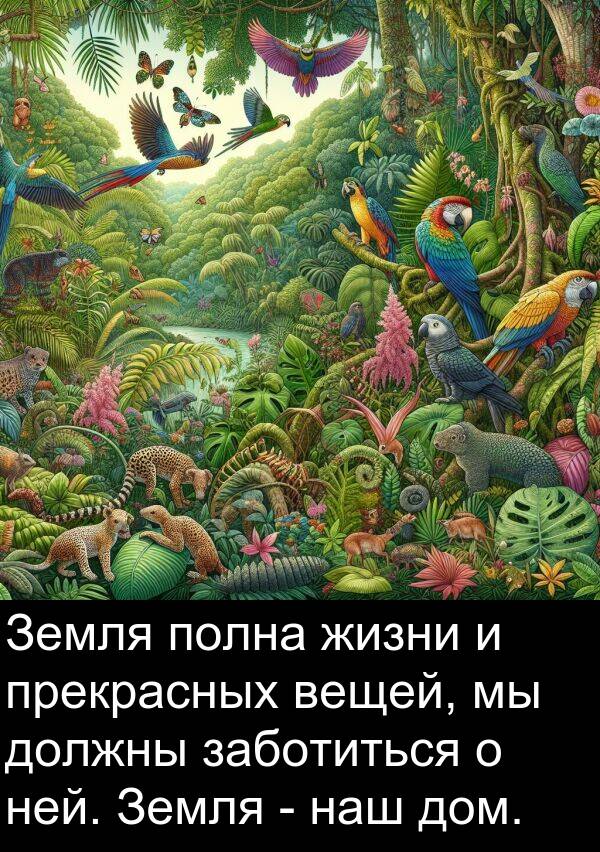 наш: Земля полна жизни и прекрасных вещей, мы должны заботиться о ней. Земля - наш дом.