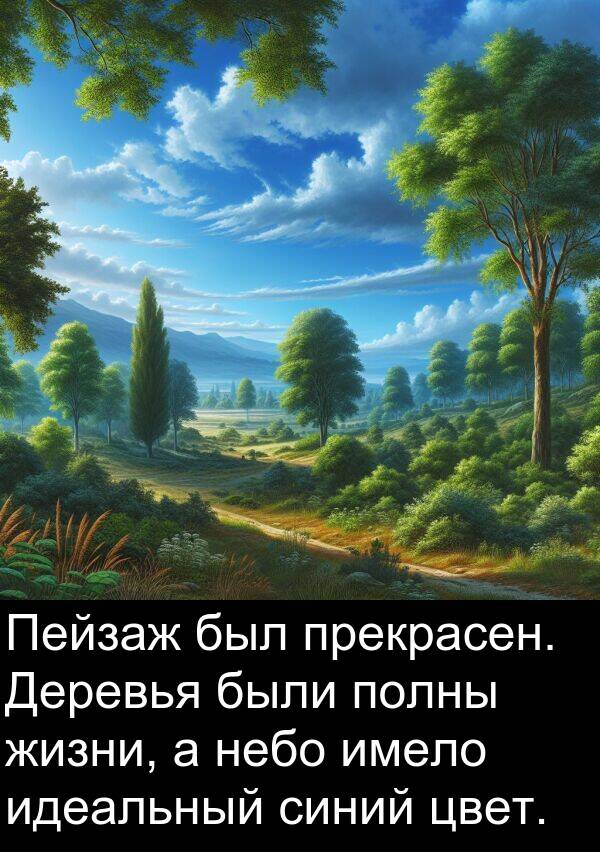 полны: Пейзаж был прекрасен. Деревья были полны жизни, а небо имело идеальный синий цвет.