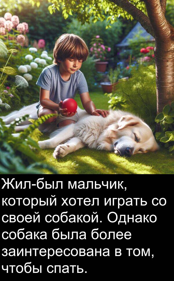спать: Жил-был мальчик, который хотел играть со своей собакой. Однако собака была более заинтересована в том, чтобы спать.