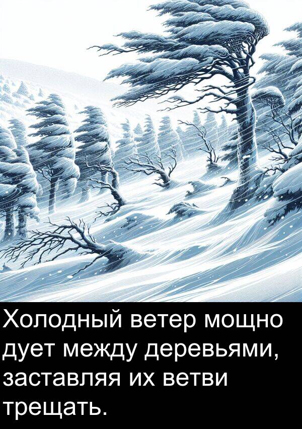 ветви: Холодный ветер мощно дует между деревьями, заставляя их ветви трещать.