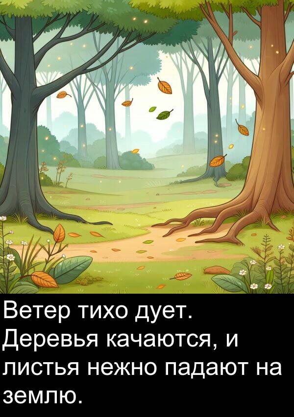падают: Ветер тихо дует. Деревья качаются, и листья нежно падают на землю.