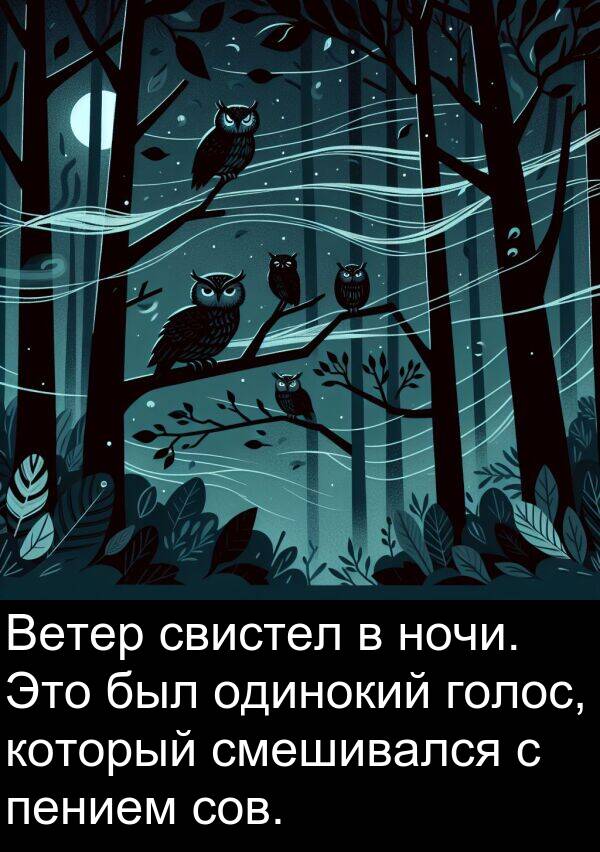 свистел: Ветер свистел в ночи. Это был одинокий голос, который смешивался с пением сов.