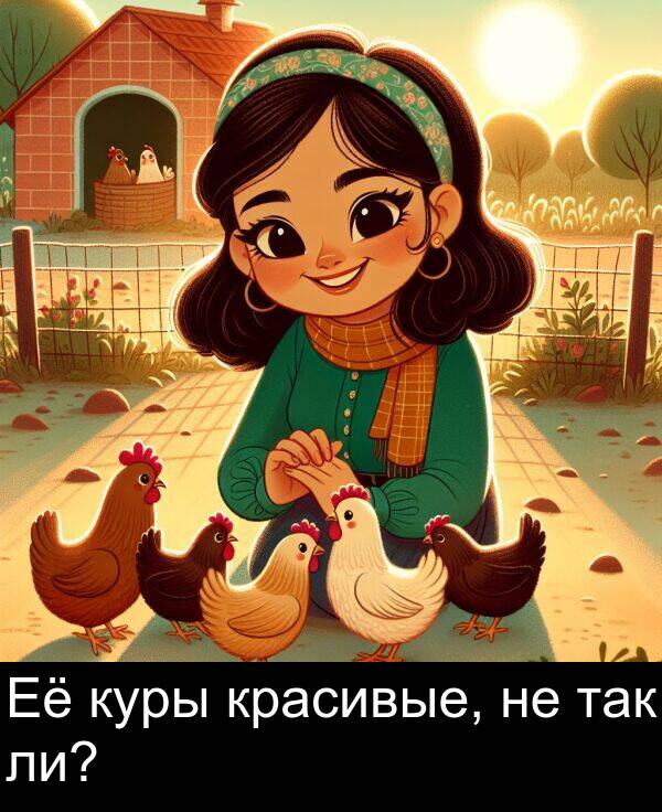 красивые: Её куры красивые, не так ли?