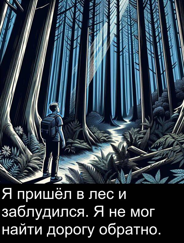 пришёл: Я пришёл в лес и заблудился. Я не мог найти дорогу обратно.