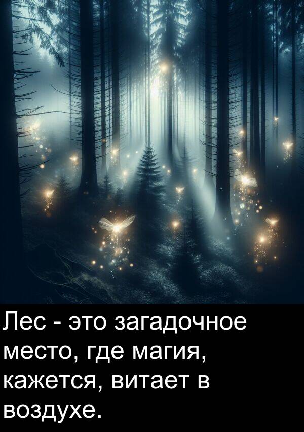 кажется: Лес - это загадочное место, где магия, кажется, витает в воздухе.