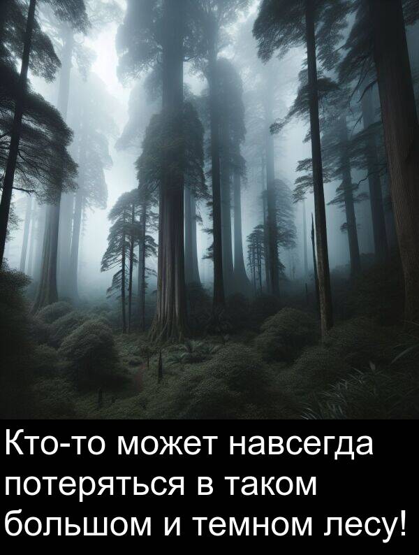 потеряться: Кто-то может навсегда потеряться в таком большом и темном лесу!