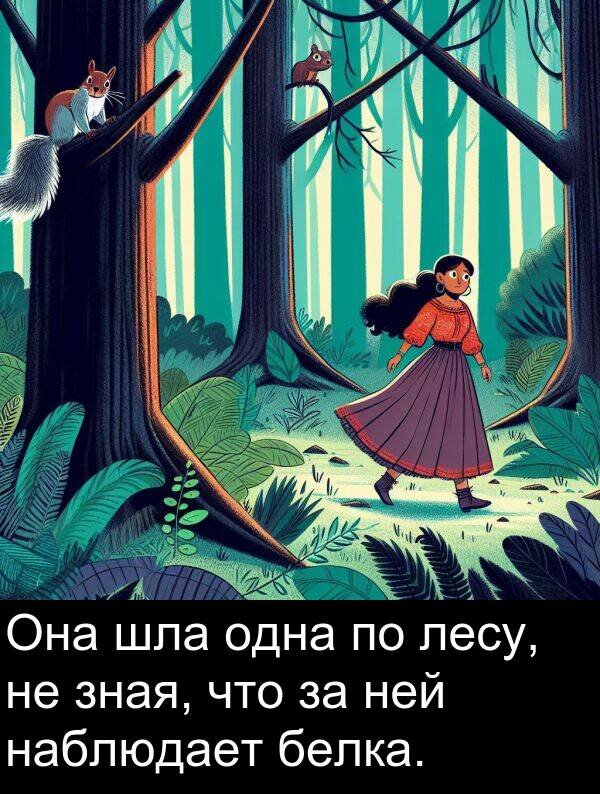 шла: Она шла одна по лесу, не зная, что за ней наблюдает белка.