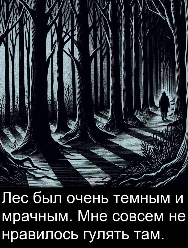 нравилось: Лес был очень темным и мрачным. Мне совсем не нравилось гулять там.