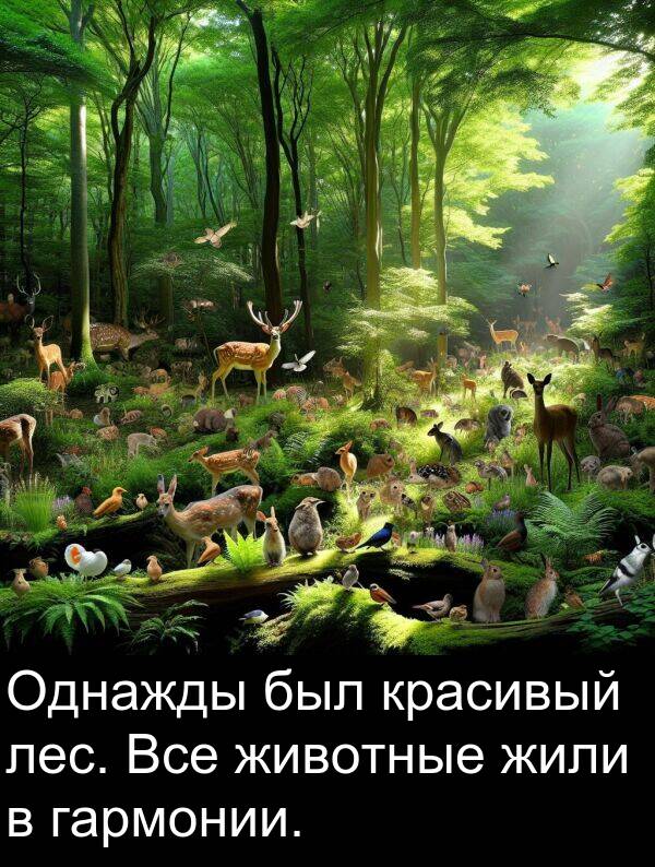 красивый: Однажды был красивый лес. Все животные жили в гармонии.