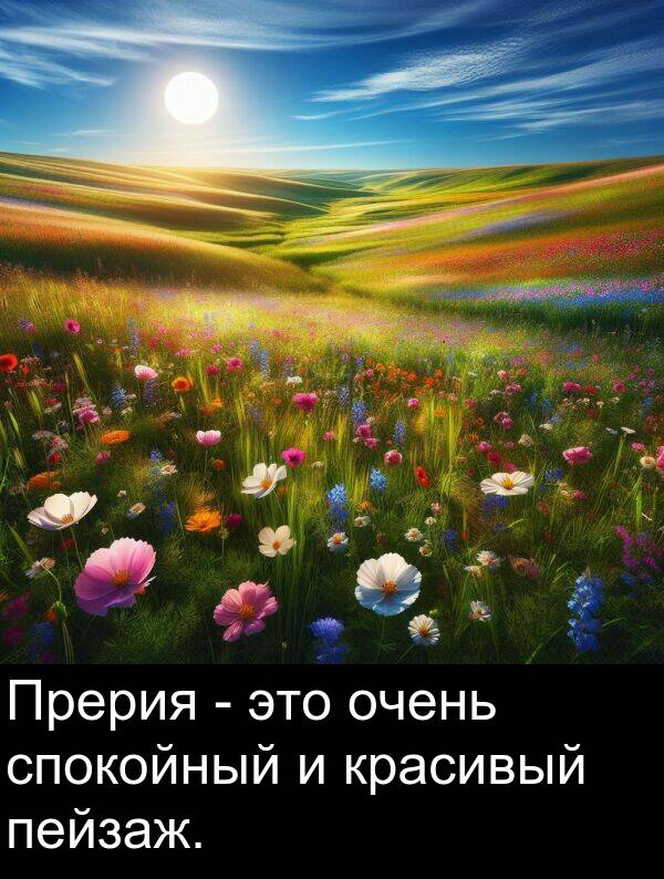 красивый: Прерия - это очень спокойный и красивый пейзаж.