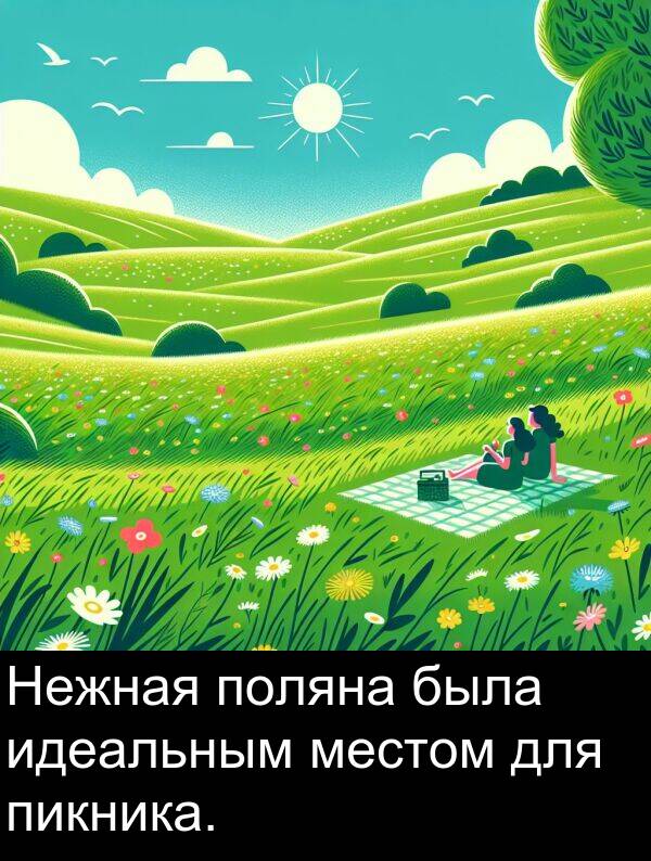 поляна: Нежная поляна была идеальным местом для пикника.