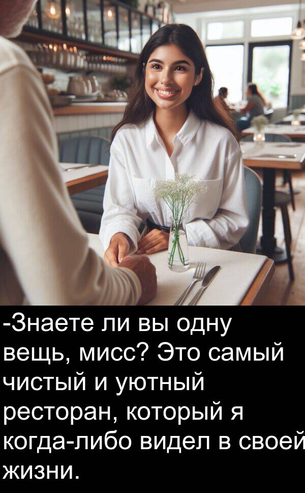 уютный: -Знаете ли вы одну вещь, мисс? Это самый чистый и уютный ресторан, который я когда-либо видел в своей жизни.