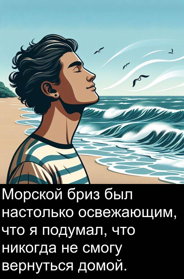 вернуться: Морской бриз был настолько освежающим, что я подумал, что никогда не смогу вернуться домой.