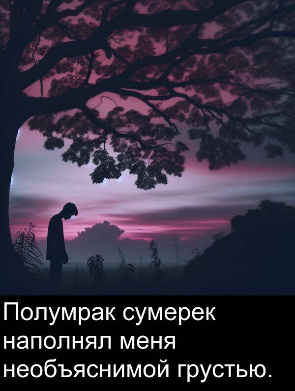 сумерек: Полумрак сумерек наполнял меня необъяснимой грустью.