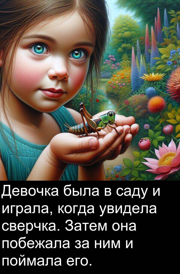 саду: Девочка была в саду и играла, когда увидела сверчка. Затем она побежала за ним и поймала его.