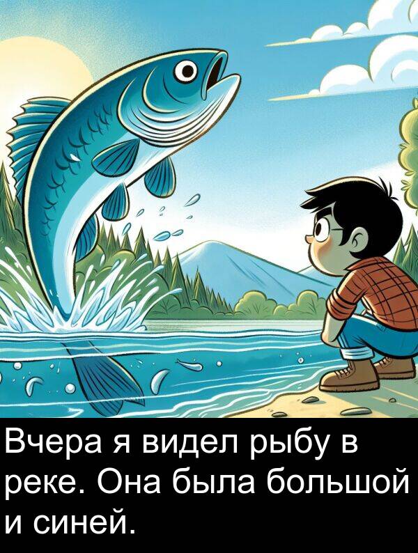 видел: Вчера я видел рыбу в реке. Она была большой и синей.