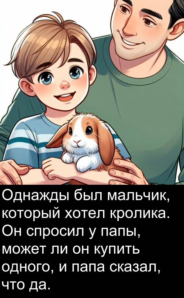 кролика: Однажды был мальчик, который хотел кролика. Он спросил у папы, может ли он купить одного, и папа сказал, что да.