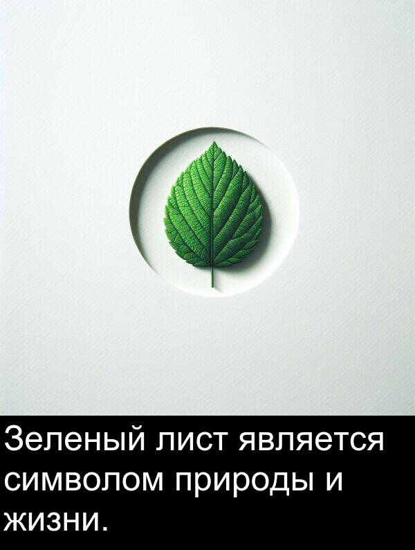 природы: Зеленый лист является символом природы и жизни.