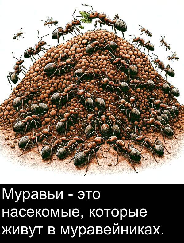 которые: Муравьи - это насекомые, которые живут в муравейниках.