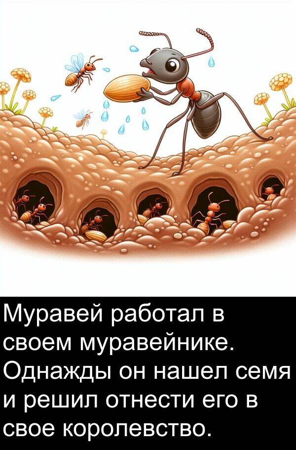 свое: Муравей работал в своем муравейнике. Однажды он нашел семя и решил отнести его в свое королевство.
