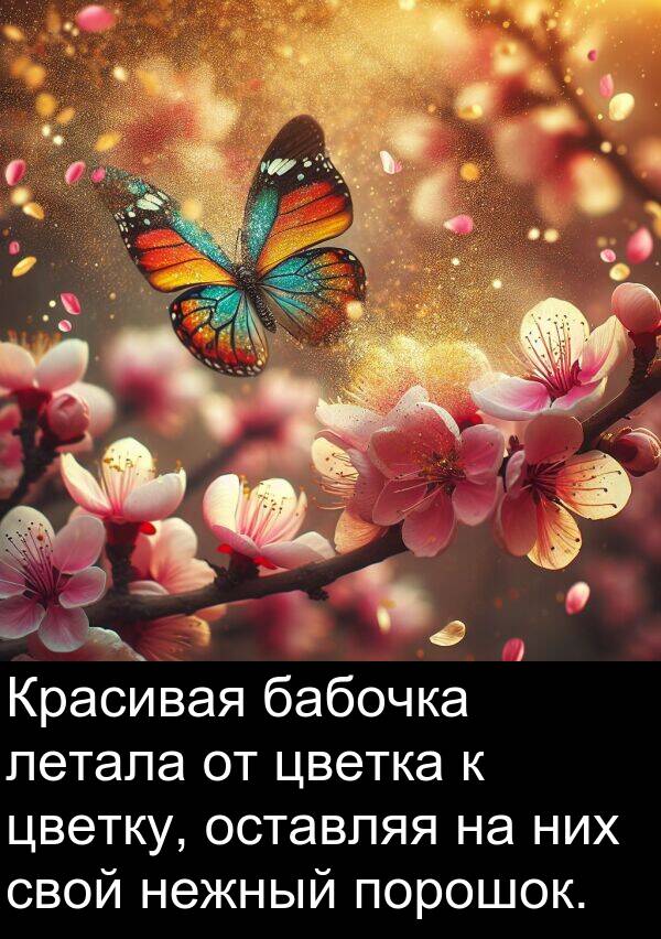 цветку: Красивая бабочка летала от цветка к цветку, оставляя на них свой нежный порошок.