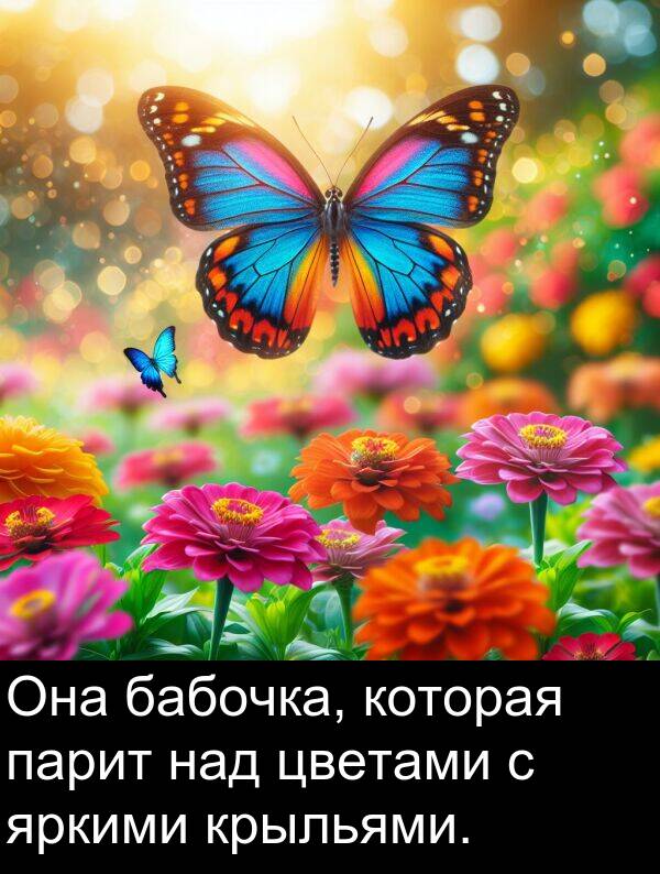 крыльями: Она бабочка, которая парит над цветами с яркими крыльями.