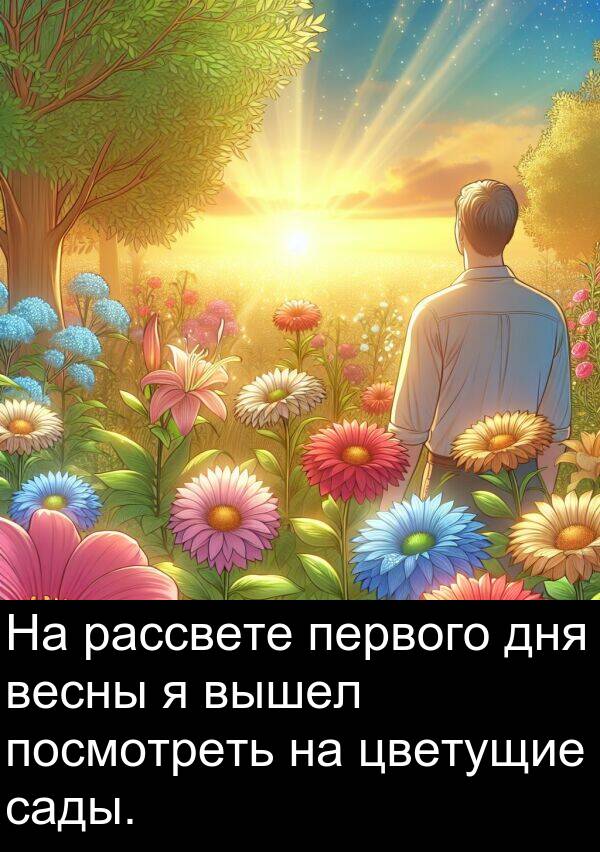 посмотреть: На рассвете первого дня весны я вышел посмотреть на цветущие сады.