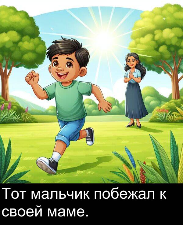 своей: Тот мальчик побежал к своей маме.