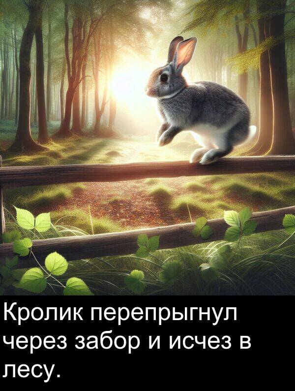 перепрыгнул: Кролик перепрыгнул через забор и исчез в лесу.