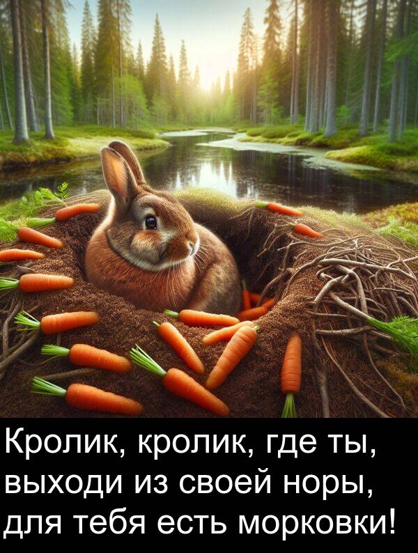 кролик: Кролик, кролик, где ты, выходи из своей норы, для тебя есть морковки!