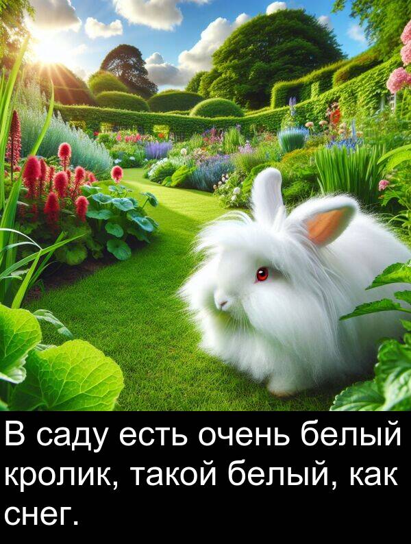 кролик: В саду есть очень белый кролик, такой белый, как снег.
