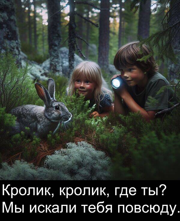 кролик: Кролик, кролик, где ты? Мы искали тебя повсюду.