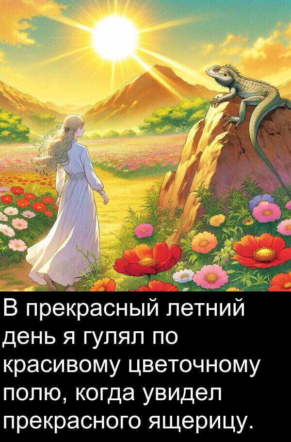 полю: В прекрасный летний день я гулял по красивому цветочному полю, когда увидел прекрасного ящерицу.