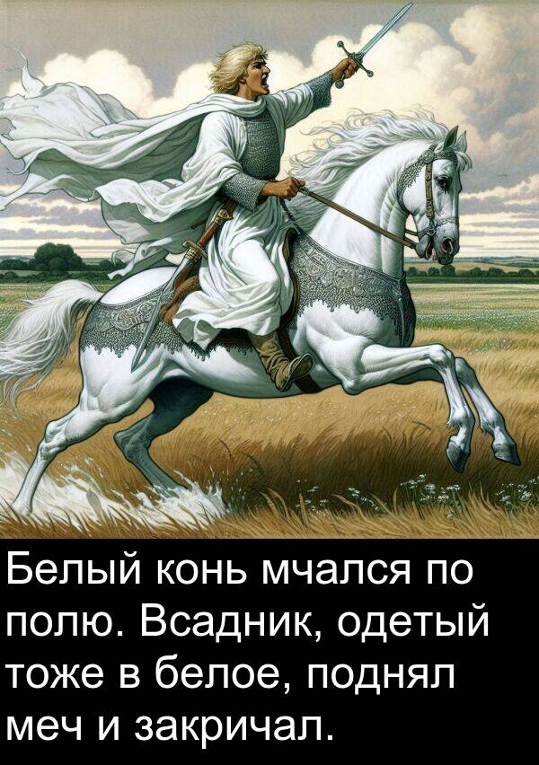 полю: Белый конь мчался по полю. Всадник, одетый тоже в белое, поднял меч и закричал.
