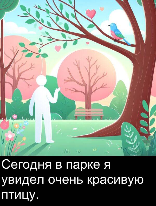 красивую: Сегодня в парке я увидел очень красивую птицу.