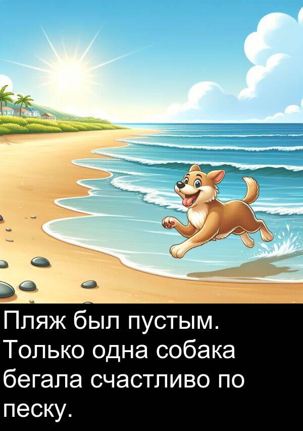 пустым: Пляж был пустым. Только одна собака бегала счастливо по песку.