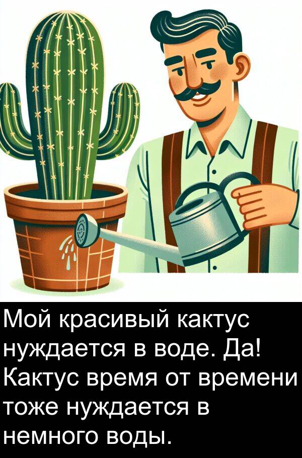 красивый: Мой красивый кактус нуждается в воде. Да! Кактус время от времени тоже нуждается в немного воды.