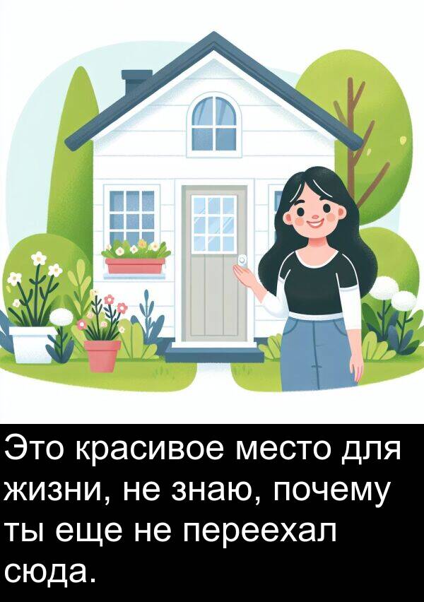 почему: Это красивое место для жизни, не знаю, почему ты еще не переехал сюда.