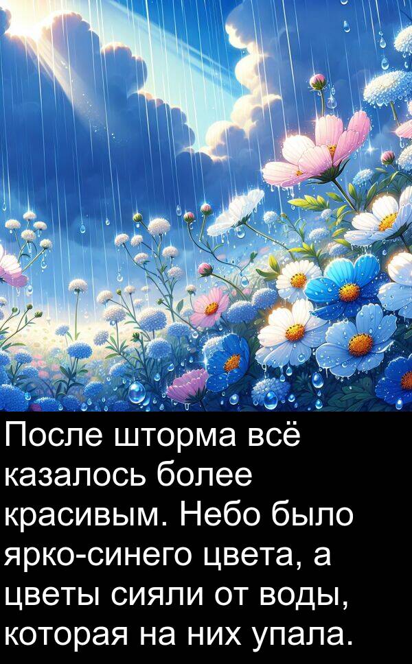 красивым: После шторма всё казалось более красивым. Небо было ярко-синего цвета, а цветы сияли от воды, которая на них упала.
